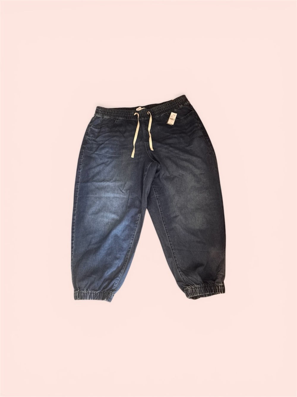 Lane Bryant Dark Indigo Denim Jogger Pants